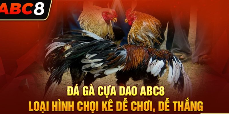 Đá gà cựa dao căng thẳng, kịch tính